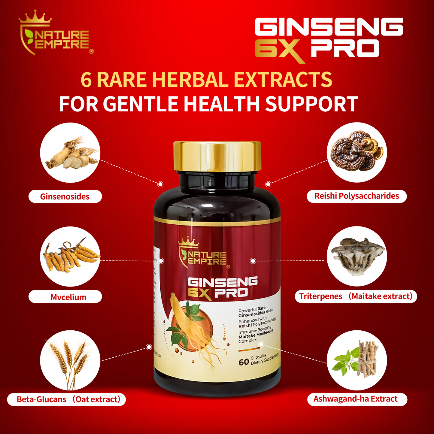 Naturemprire Ginseng 6X Pro - 16 Rare Ginsenosides & Reishi Mushroom Complex, Immune Support Supplement with Maitake Beta-Glucans, Herbal Energy Booster, 60 Vegetarian Capsules